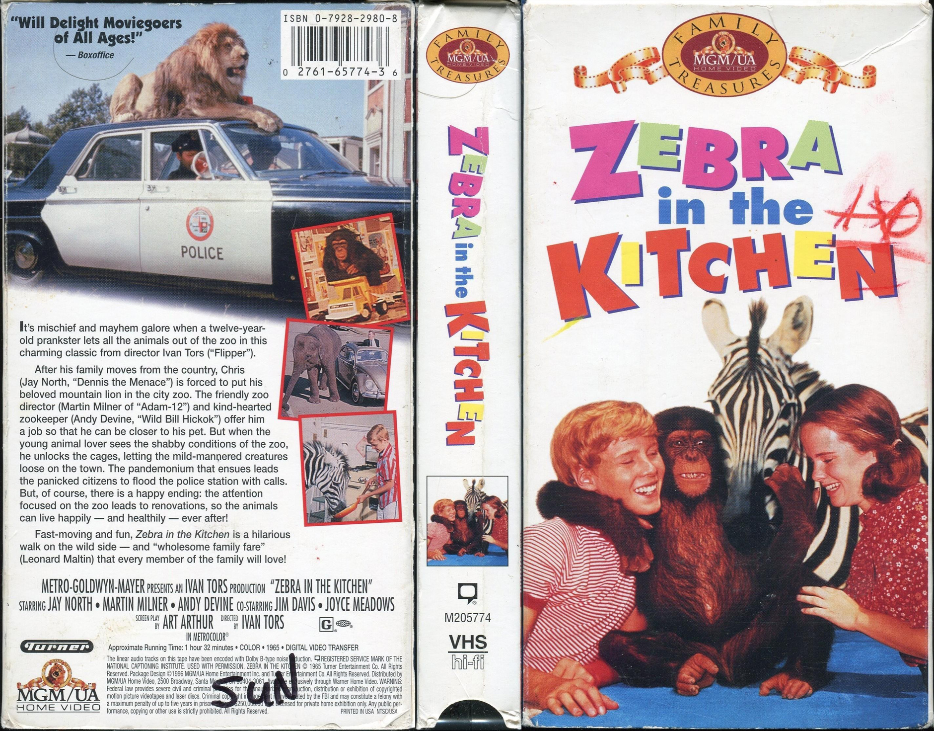 Zebra in the Kitchen movie