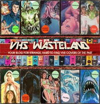 VHS WASTELAND - HIGH RES SCANS OF RARE VHS COVERS