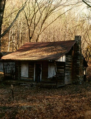 
THE CABIN IN THE WOODS MURDERS
		   