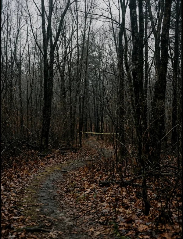 Illustration: a wooded trail with crime scene tape stretched between the trees