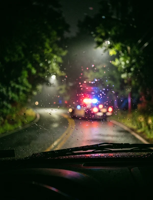 Illustration of police lights glowing through a rain-spotted windshield on a wooded road at night. Not the actual scene.